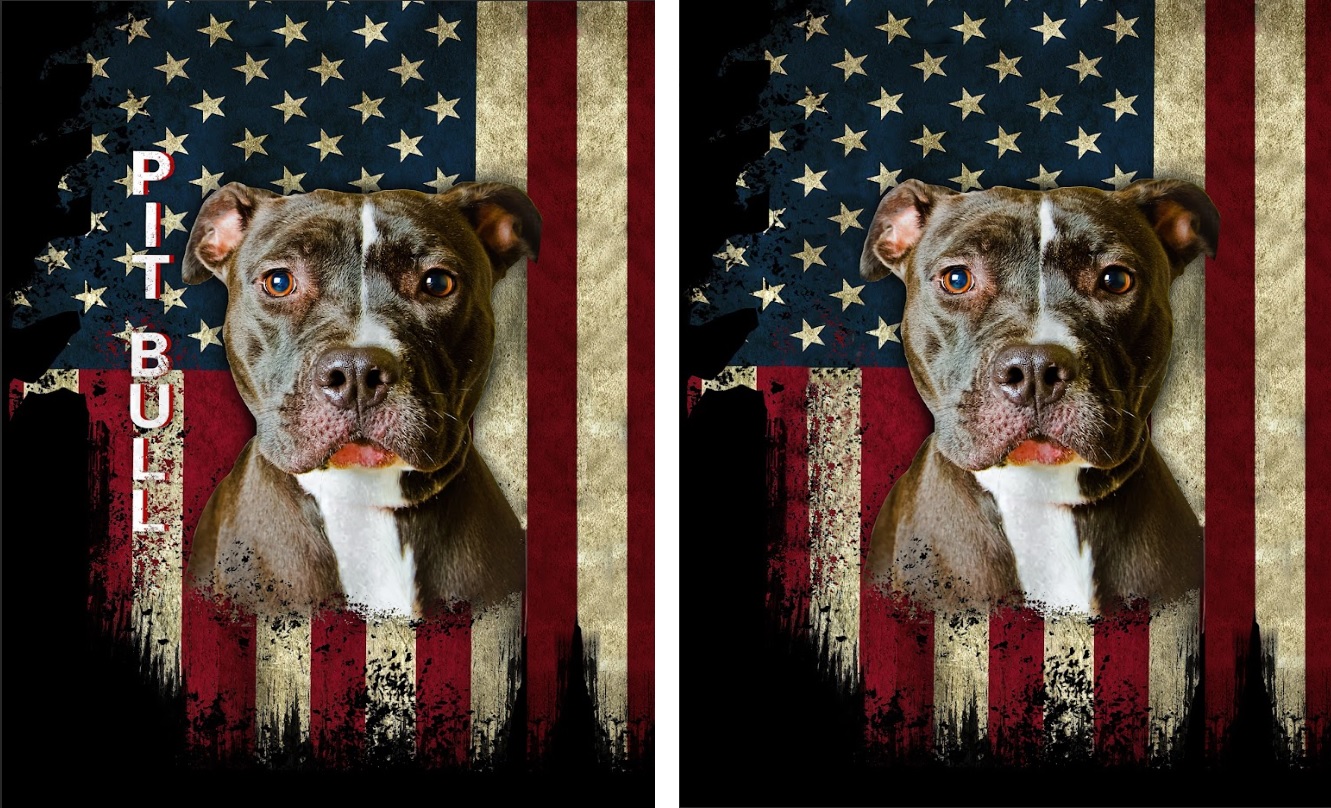 Pit Bull Terrier American Flag 3D Print Hoodies Unisex Pullover Hoodie Gift For Men, Women, Birthday, Christmas