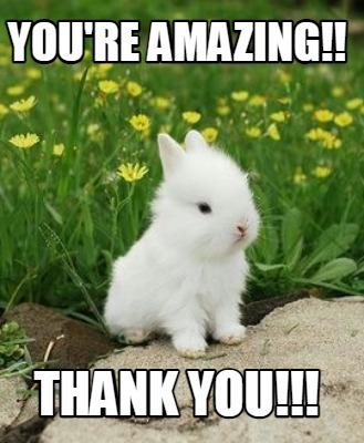 1f2ee09a73da499fbe1919ae762e5bd2~tplv-fhlh96nyum-origin-jpeg