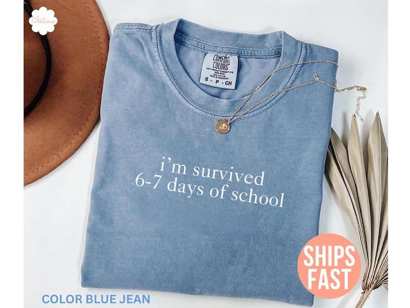 Comfort Colors I Survived 67 Days Of School Shirt, Funny Teacher Meme Tee, Cute 67 School Top, Trending Classroom Gift