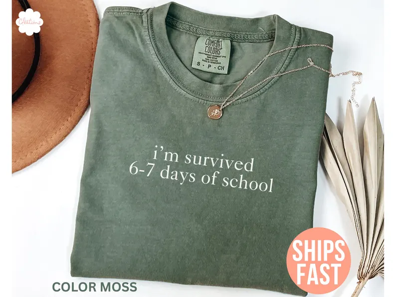 Comfort Colors I Survived 67 Days Of School Shirt, Funny Teacher Meme Tee, Cute 67 School Top, Trending Classroom Gift